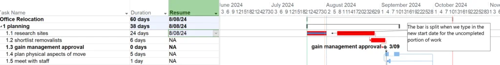 How to Manage Delayed Tasks Using the Resume Field in Microsoft Project 1 resumefield